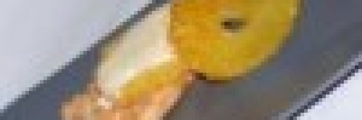 Csirkemellfilé ananásszal, narancs szeletekkel (gluténmentes, cukormentes)