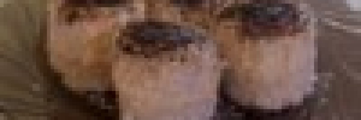 Hólabda (gluténmentes)