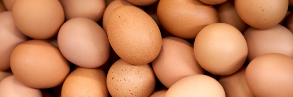  7+1 tudnivaló a tojásallergiáról