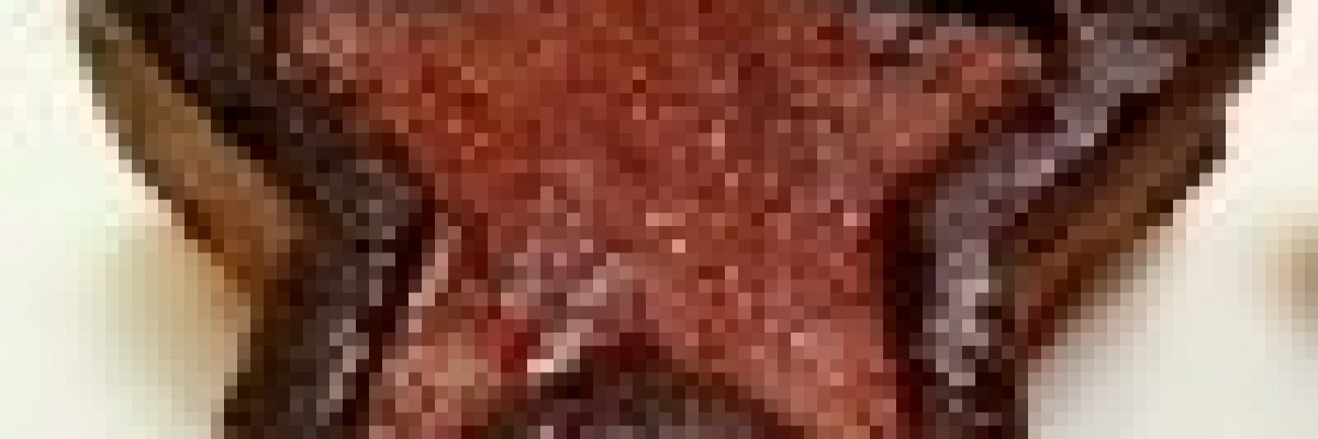 Gesztenyés csillag (gluténmentes)