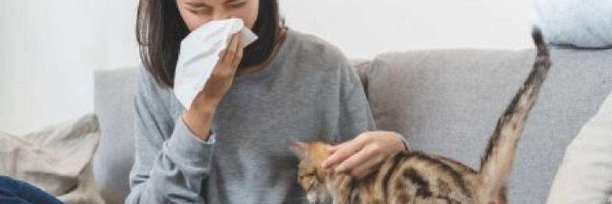 Létezik-e tökéletesen hipoallergén kutya, macska?