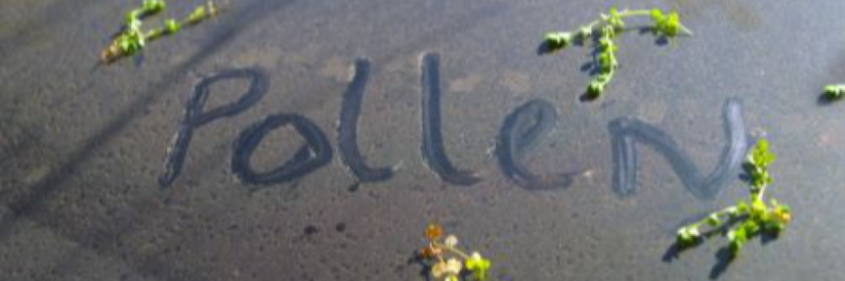 Még tél van - miért foglalkozzak a pollenallergiával?
