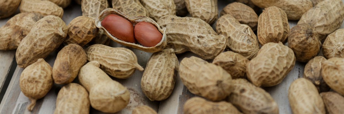 Enyhe vagy súlyos tüneteket okoz a földimogyoró allergia?