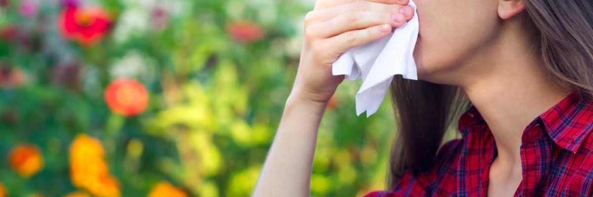 Nyárias időjárás: nemcsak a nyaralóknak, a parlagfűnek is kedvez