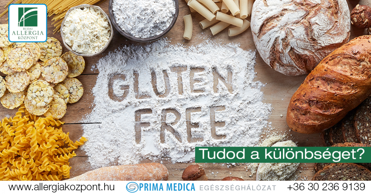 Gluténmentes diéta: Miben van glutén?
