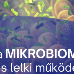 Beszámoló a Mikrobiom szakmai napról