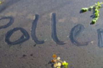 Még tél van - miért foglalkozzak a pollenallergiával?