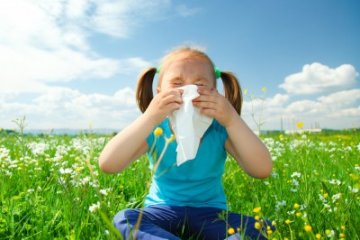 Az őszi és a téli születésűeknél magasabb az allergia kockázata?