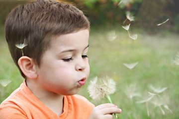 Pollenallergia gyerekeknél: már két-három éves korban is jelentkezhet 