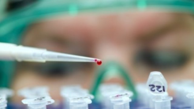 Segítség táplálékallergiásoknak: a komponens alapú allergia vizsgálat