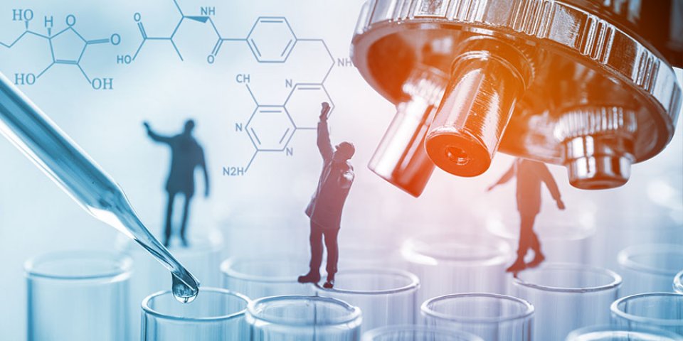 Komponens alapú allergiavizsgálat