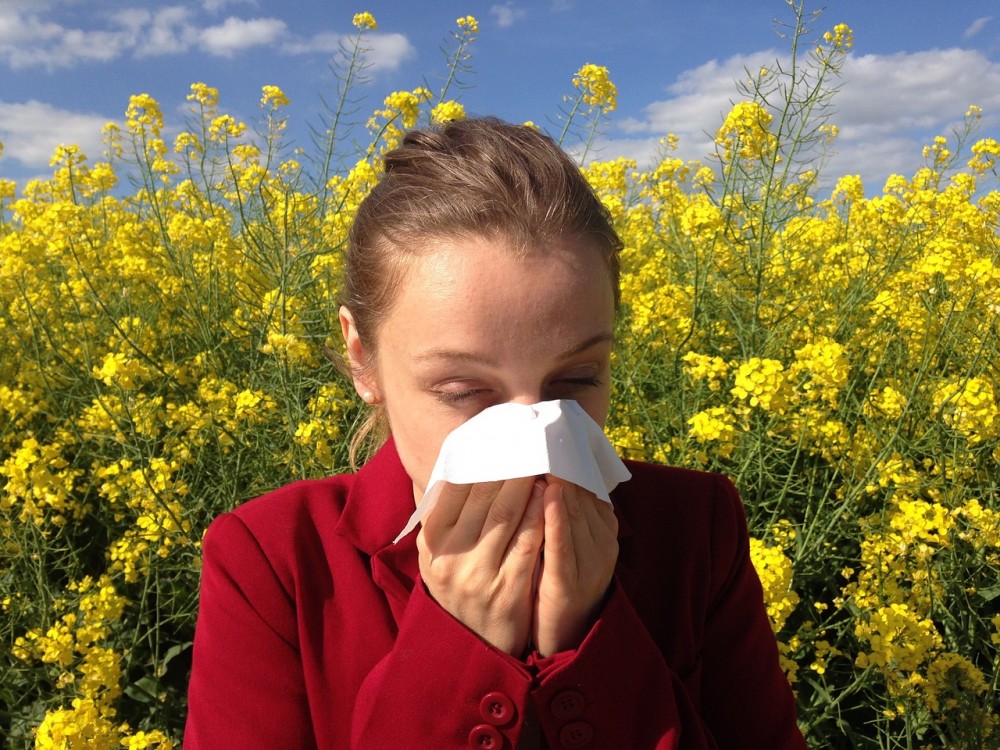 Asztmás is lehet, ha nem kezelteti az allergiáját!