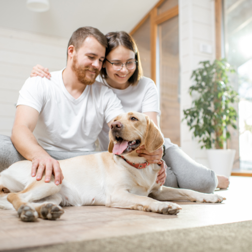 Állatszőr, kutya- és macskaallergia kezelése az Allergiaközpontban