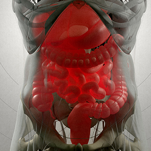 Helmint terápia a crohn-betegségben